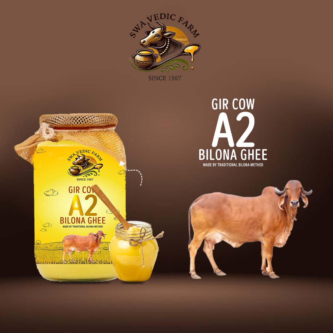Traditional Bilona Ghee Making Process
