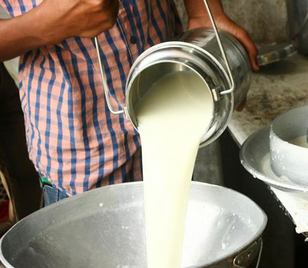 A2 Gir Cow Milk